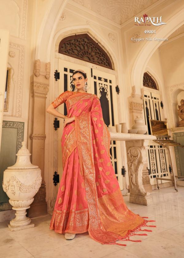 Rajpath Aashi Organza Silk Fancy Wear Saree Collection